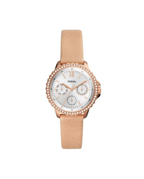 Correa Fossil IZZY ES4888