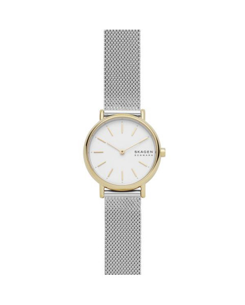 Cinturino Skagen SIGNATUR SKW2910