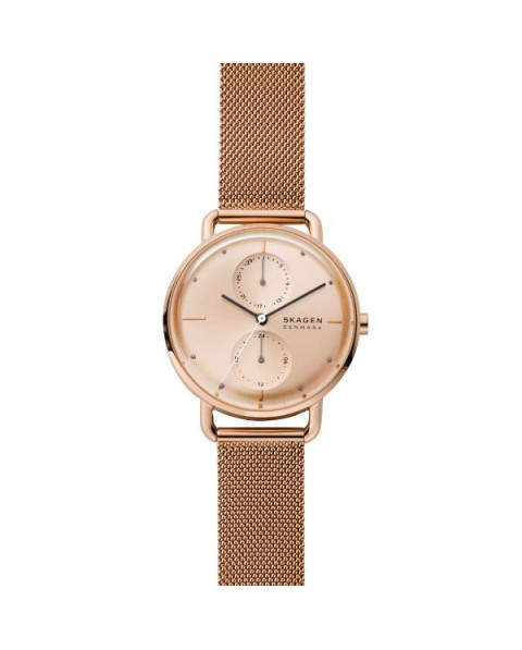 Cinturino Skagen HORIZONT SKW2931