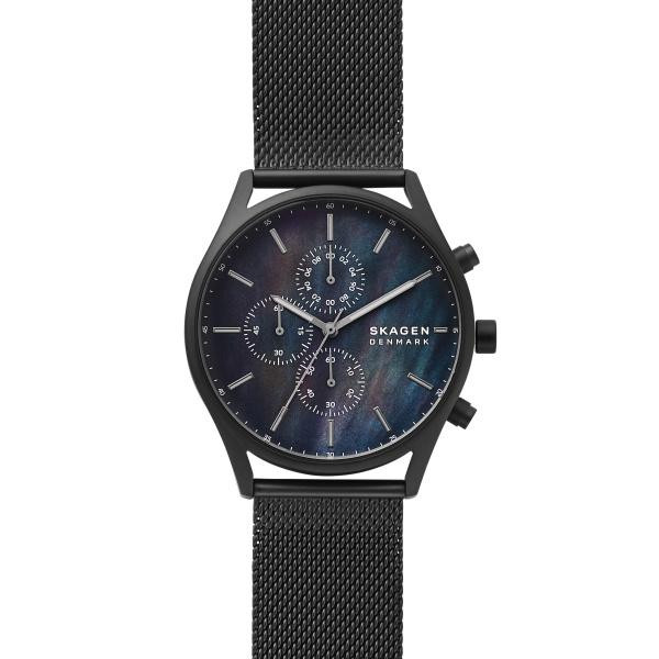 Skagen clearance holst strap