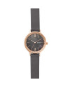 Cinturino Skagen ANITA SKW2909