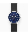 Cinturino Skagen HOLST SKW6606