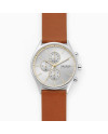 Cinturino Skagen HOLST SKW6607