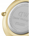Daniel Wellington Petite Evergold DW00100350