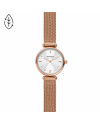 Cinturino Skagen AMBERLINE SKW2955