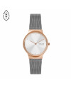 Cinturino Skagen FREJA SKW3017