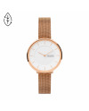 Cinturino Skagen GITTE SKW3013