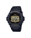 Casio COLLECTION W-219H-1A2VEF