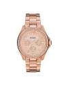 Fossil AM4483 Correa para Reloj AM4483