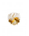 Actinia brooch (white-gold) Lladró Porcelain 01010291
