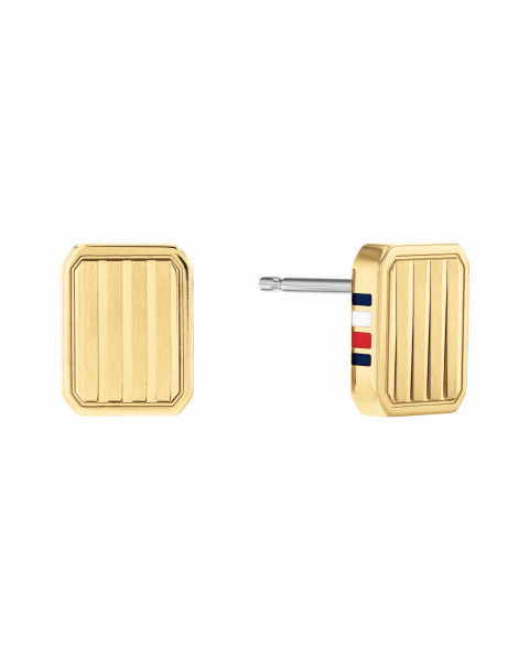 Brincos Tommy Hilfiger 2780694