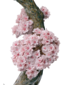 Lladro 01008360 - Фарфор Lladro SWEET SCENT OF BLOSSOMS 010 08360