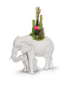 Elephant garden Sculpture. Matte White. Plant the Future Lladró Porcelain 01009639