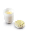 Echoes of N. candle-Tropical Blossoms Lladró Porcelain 01040144