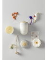 Echoes of N. candle-Tropical Blossoms Lladró Porcelain 01040144