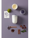 Echoes of N. candle-A Secret Orient Lladró Porcelaine 01040146 