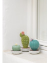 Ferocactus cactus-night approaches Lladró Porcelain 01040187