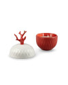 Vela Coral Porcelana Lladró 01040254  
