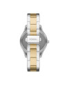 Fossil STAINLESS STEEL ES5107