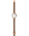 Cinturino Skagen ANITA SKW2865