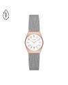 Skagen Strap GRENEN LILLE SKW3050