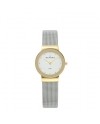 Skagen 358SGSCD Strap for Watch Skagen KLASSIC 358SGSCD