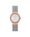 Skagen 358SRSC Bracelet pour Montre Skagen KLASSIC 358SRSC