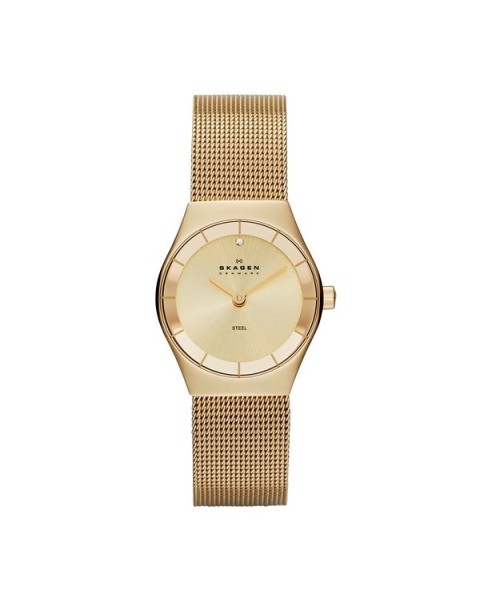 Skagen SKW2045 Bracelet pour Montre Skagen KLASSIC SKW2045