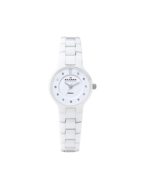 Skagen 572SSXWC Armbander für Uhr Skagen PERSPEKTIV 572SSXWC