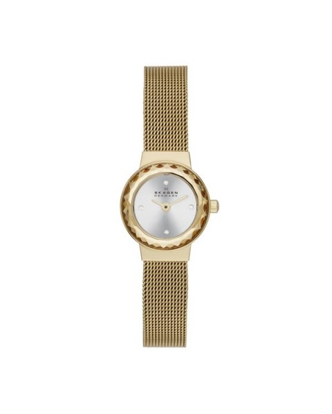 Skagen SKW2186 Bracelet pour Montre Skagen KLASSIC SKW2186