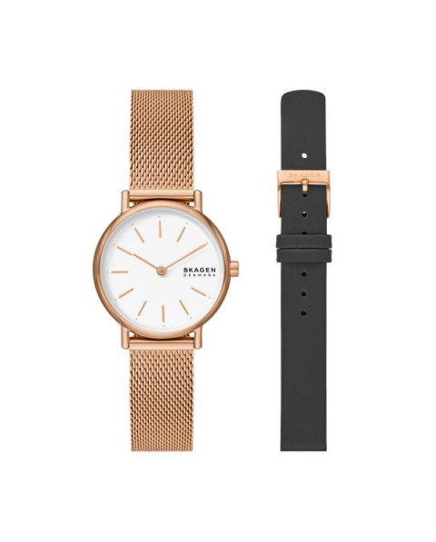 Skagen STAINLESS STEEL SKW1153SET