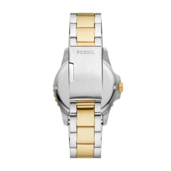 Watch Fossil STAINLESS STEEL FS6031