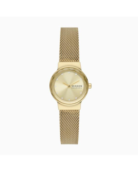 Skagen STAINLESS STEEL MESH SKW3110