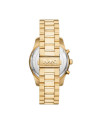 Michael Kors STAINLESS STEEL MK9153