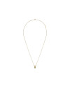 Daniel Wellington Necklace ELAN DW00400515