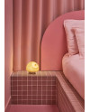 Hedgehog wireless lamp Lladró Porcelain 01024257