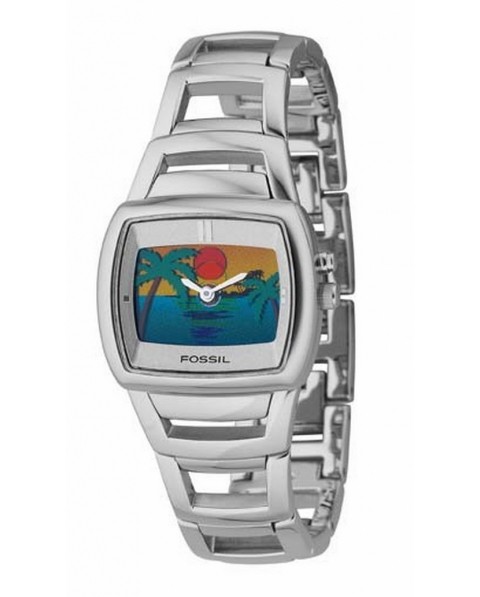 Fossil BG2045 Bracelet pour Montre Fossil BG2045