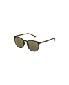 Police Sonnenbrille  SPL343-T32G