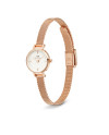 Daniel Wellington PETITE DW00100744