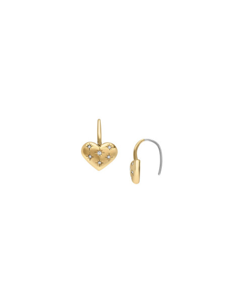 Fossil Earring STAINLESS STEEL JF04833710