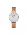Correa Skagen SKW2151 para el Reloj Skagen SKW2151