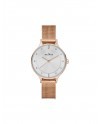 Skagen Bracelet SKW2151 pour le Montre Skagen SKW2151