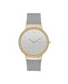 Correa Skagen SKW2381 para el Reloj Skagen SKW2381