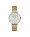 Skagen Bracelet SKW2150 pour le Montre Skagen  SKW2150