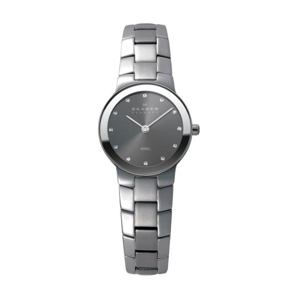 Correa Skagen para el Reloj Skagen STINE 430SMXM Correa Skagen para el Reloj Skagen STINE 430SMXM