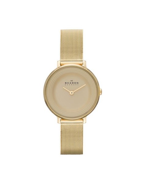 Skagen Bracelet pour le Montre Skagen DITTE SKW2212