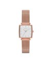 Correa Skagen para el Reloj Skagen STRAND SKW2219