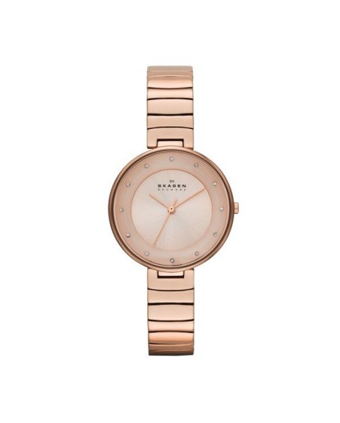 Correa Skagen para el Reloj Skagen GITTE SKW2227