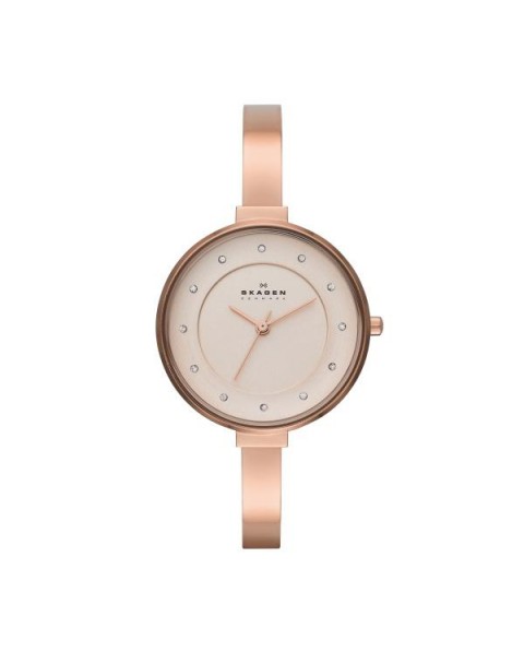 Correa Skagen para el Reloj Skagen GITTE SKW2230