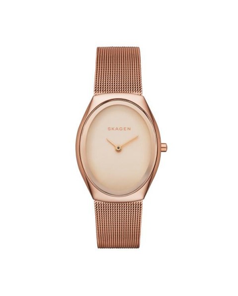 Correa Skagen para el Reloj Skagen MADSEN SKW2299